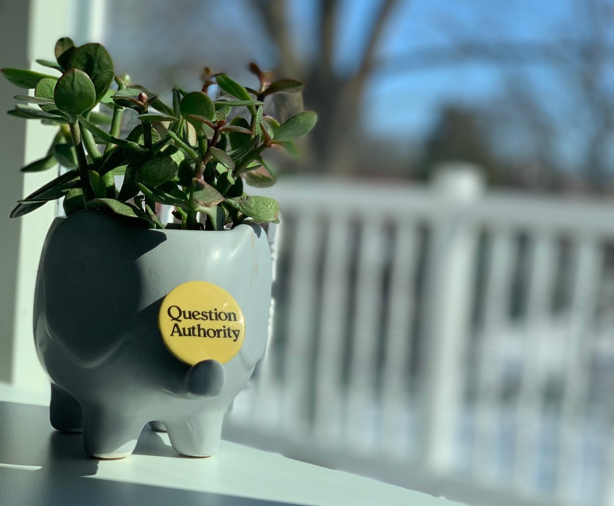 Question Authority